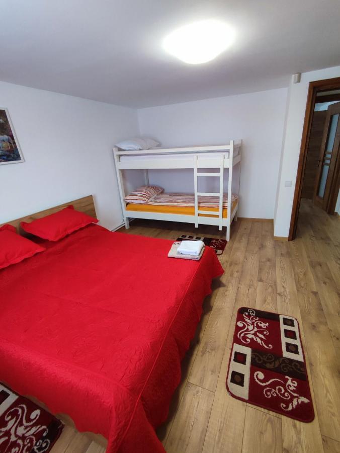 Casa Daiana - Toplita Екстериор снимка